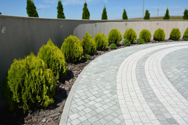 Best Paver Driveway Replacement  in St Charles, MO